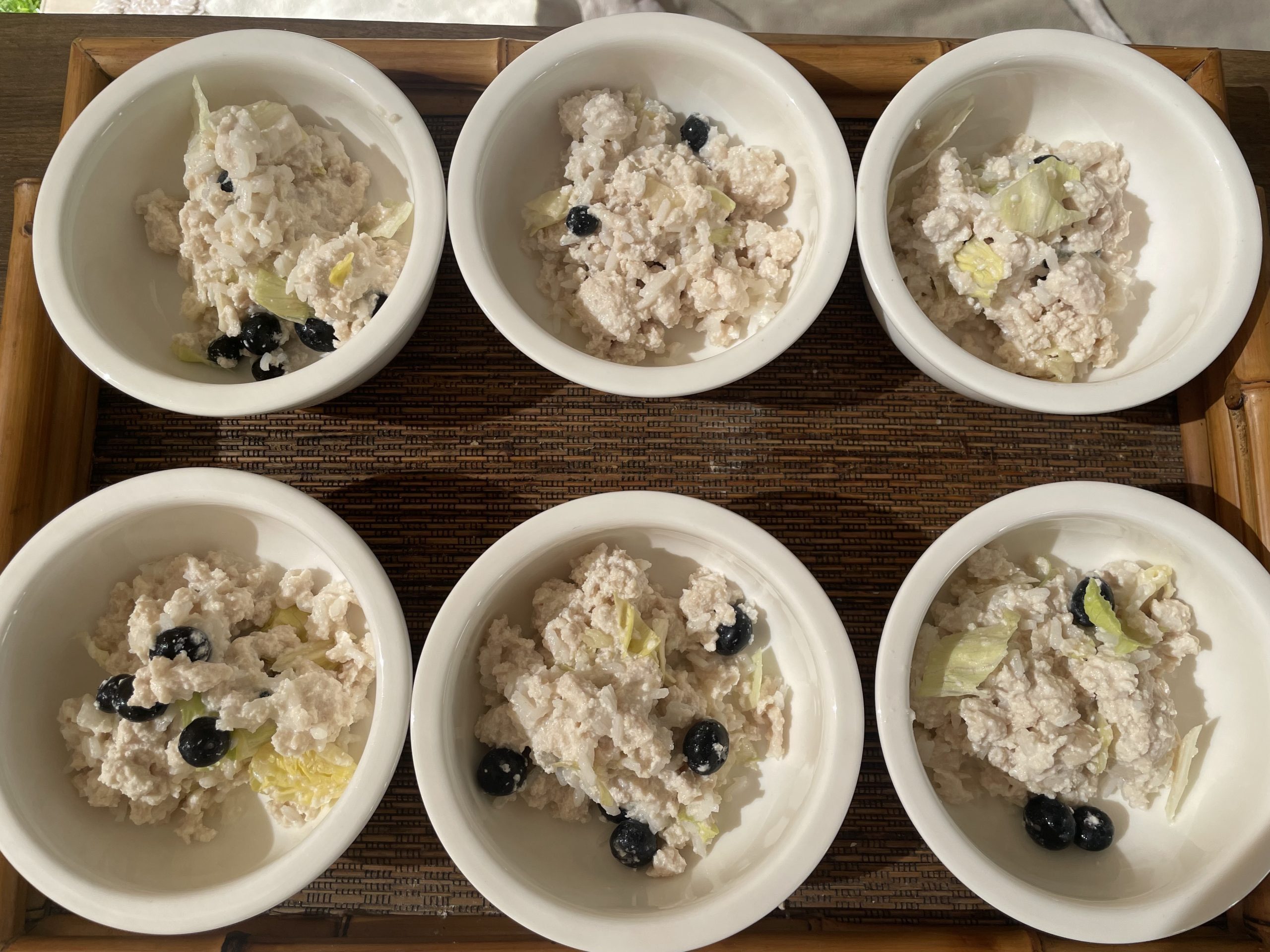 Amerikanische Zwergdackelzucht Hot Sausage