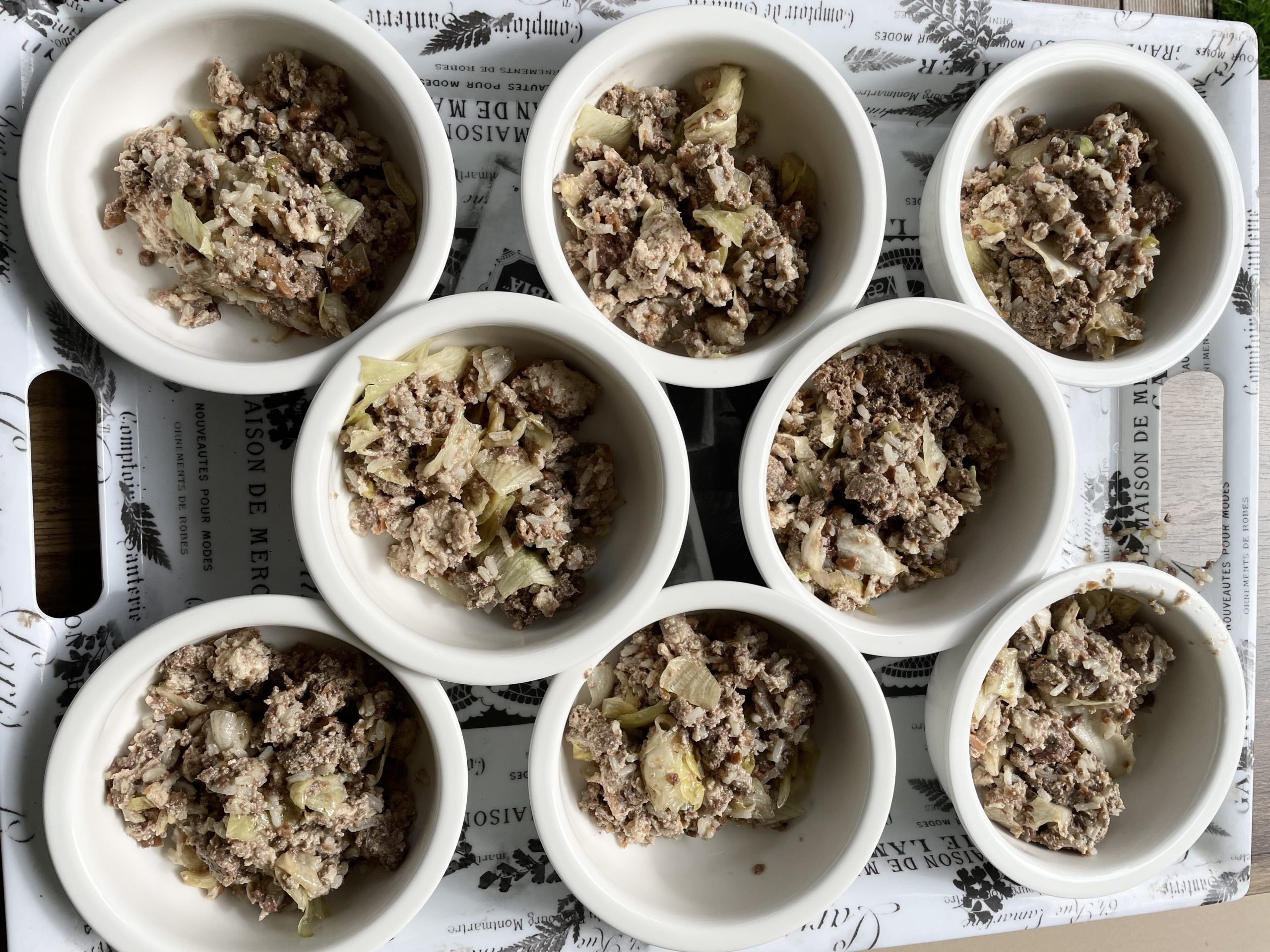 Amerikanische Zwergdackelzucht Hot Sausage