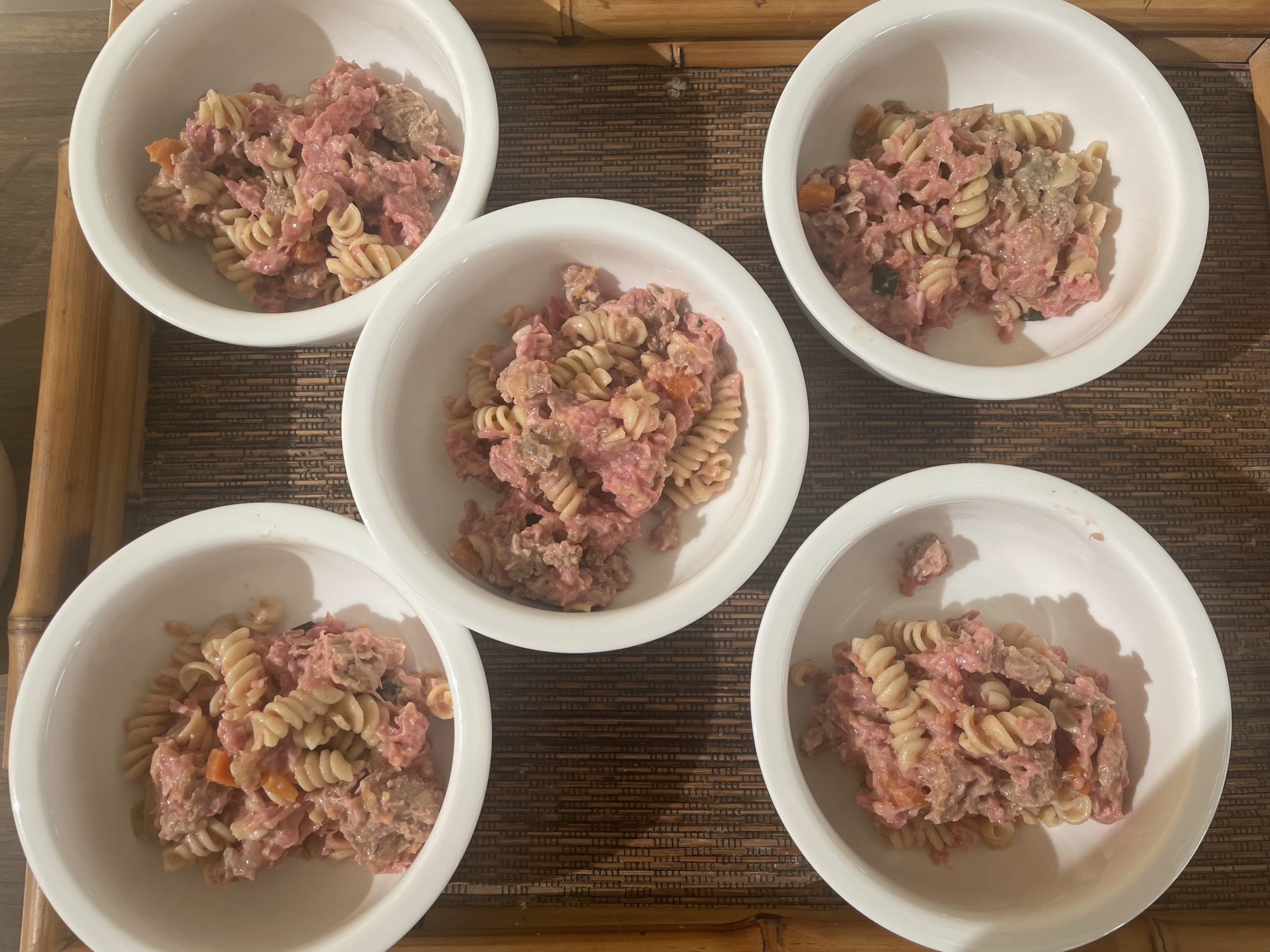 Amerikanische Zwergdackelzucht Hot Sausage