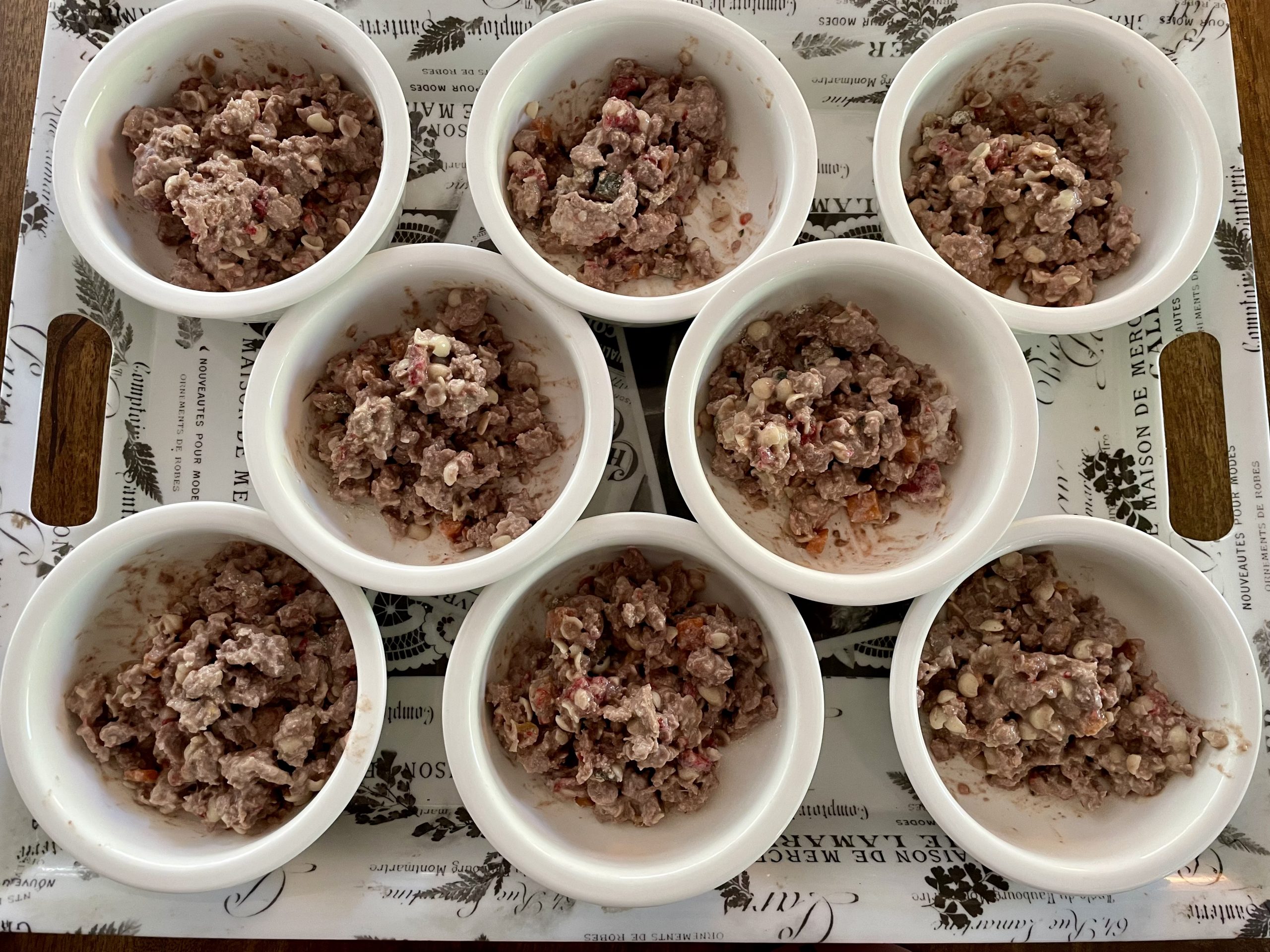 Amerikanische Zwergdackelzucht Hot Sausage