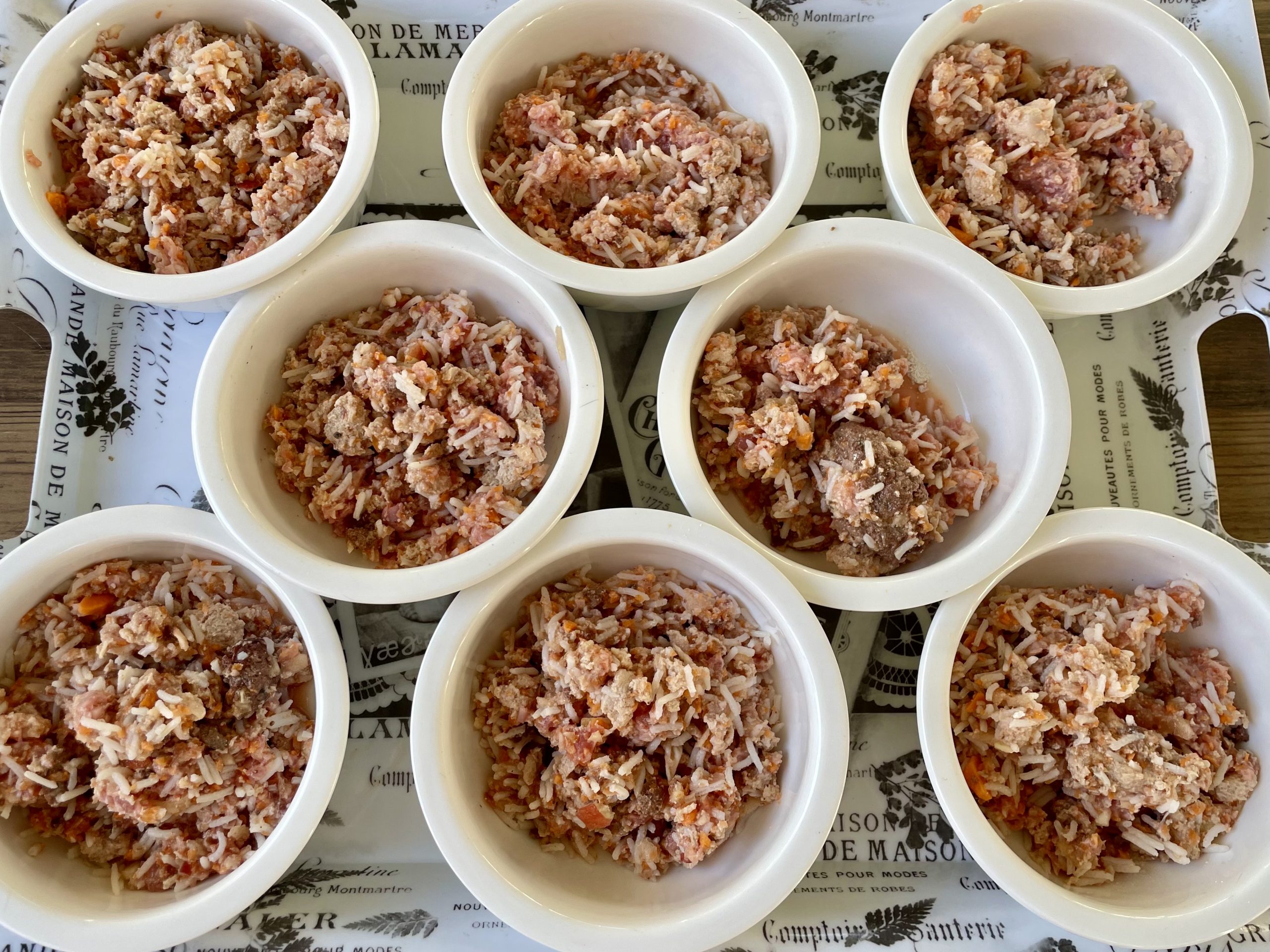 Hot Sausage Amerikanischer Zwergdackel